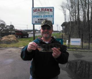 Here is Mr Wayne with a nice citation yellow.