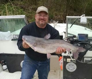 Here is Mr. Todd with a huge Pocomoke cat. 12.5 lbs. , one of the biggest I’ve ever seen out of the river