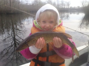 Isabelle caught this nice pickerel 1/9 on the Pocomoke River. 