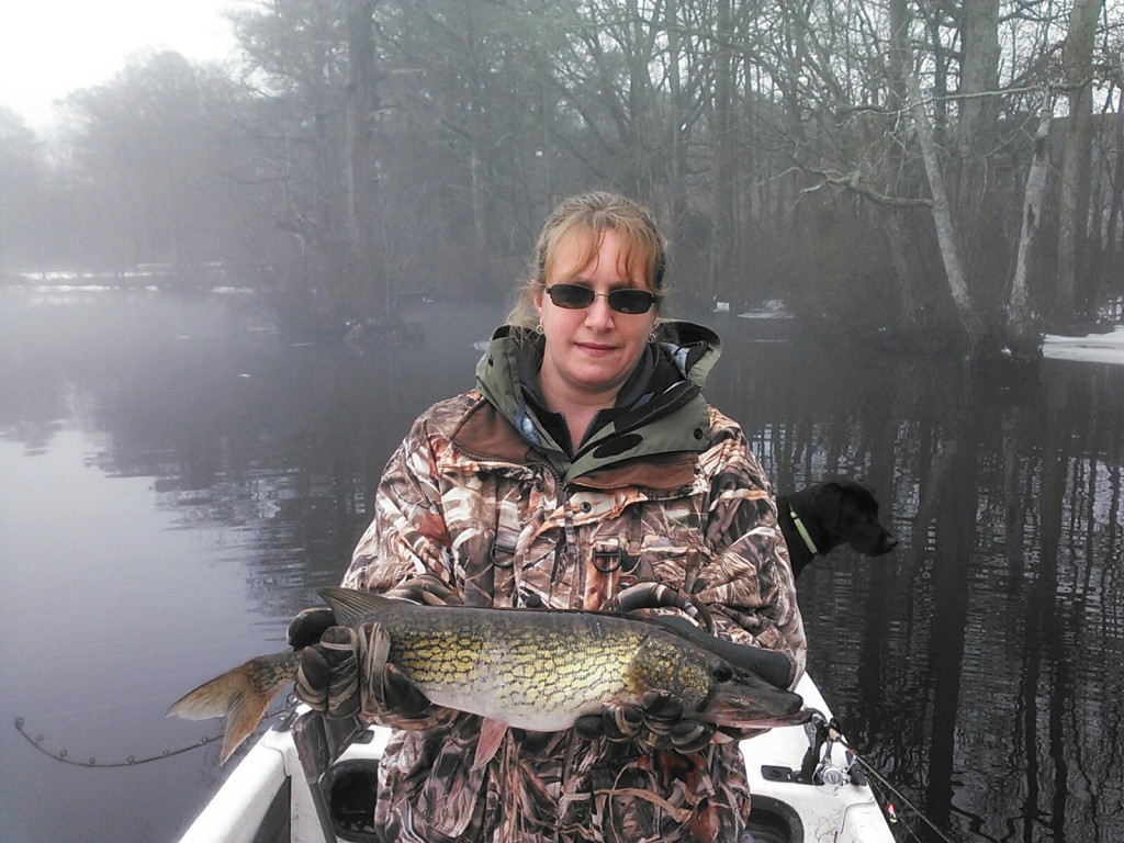 Here is a pic of michelle with a pic. This fish measured 25" and was released in the Pocomoke on this cool rainy March day.