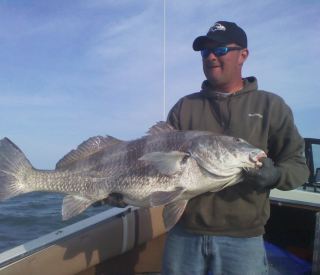The spring turkey season is in full strut. here is a pic of the Ennis boys with two ES gobblers.