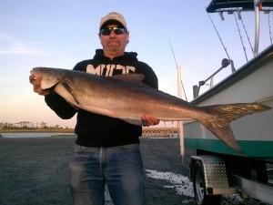 HERE IS A NICE COBIA CAUGHT WITH CAPT KEN OF CAPE CHARLES FISHING ADVENTURES.