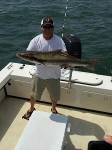 HERE IS CAPT BROOKS WITH A NICE ESVA COBIA. THESE FISH HAVE BEEN CAUGHT ON CUT BAIT AS WELL AS EELS FROM JUST NORTH OF CAPE CHARLES TO THE CBBT