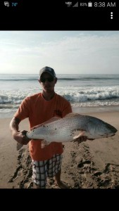 SOME REDS ARE SHOWING UP IN THE SURF OF THE ESVA. WE HOPE IT WILL BE A REPEAT OF 2 YEARS AGO.
