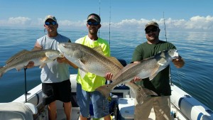 The Coastal Killers stumbled on a school of reds last Saturday during the Bay Challenge. They boated 6 monsters including this triple header. Unfortunately there was no coastal killing with all over the slot and going back over alive!
