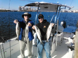 Mr. Dan and son Chris fished on this weeks charter.  Even though the water had warmed -up the shallow water action stayed strong.